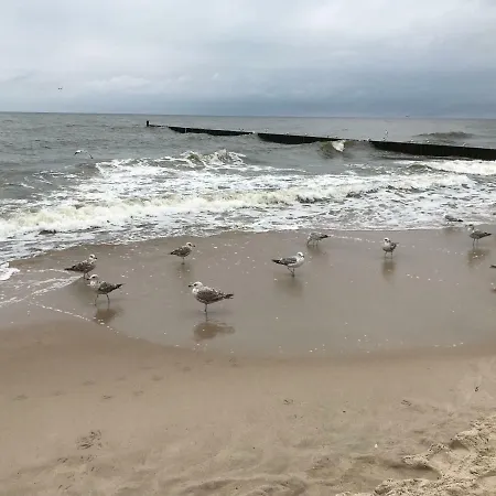City /blizej Morza/ * Kołobrzeg